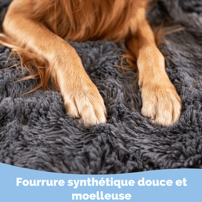 Couverture Anti-Griffes pour Chien