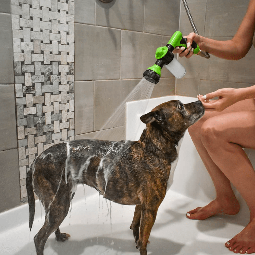 Jet d'eau nettoyant pour chien