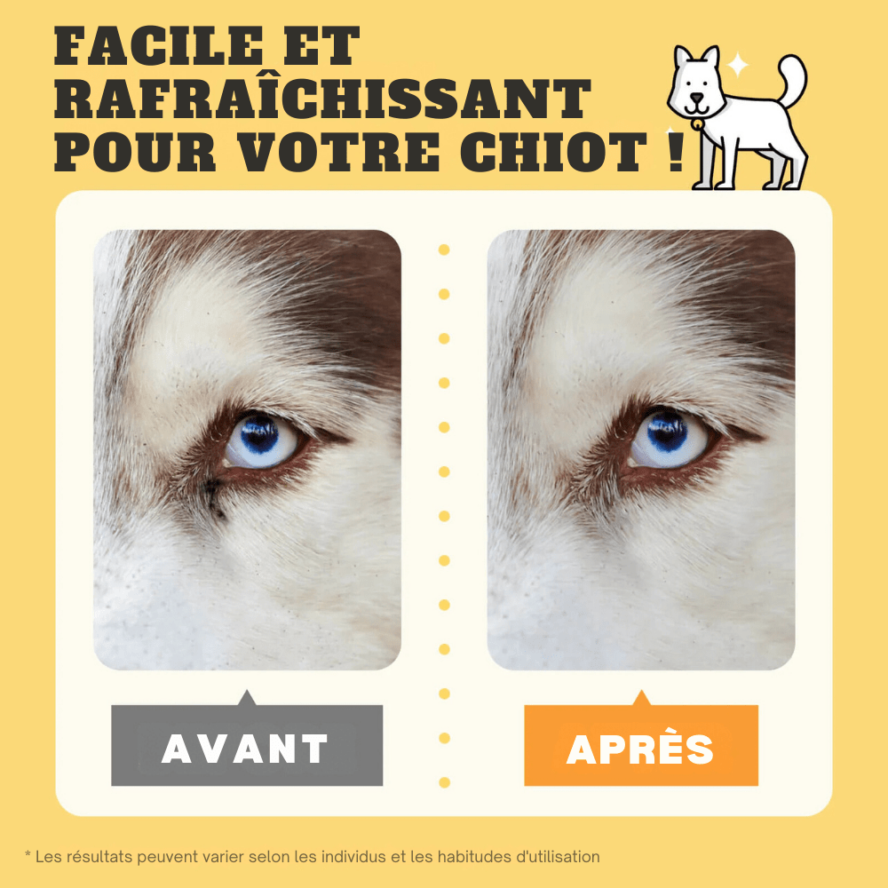 Lingettes pour Yeux de Chiens