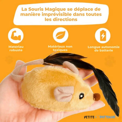 Souris Interactive Automatique pour Chats