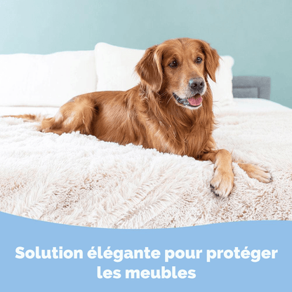 Couverture Anti-Griffes pour Chien