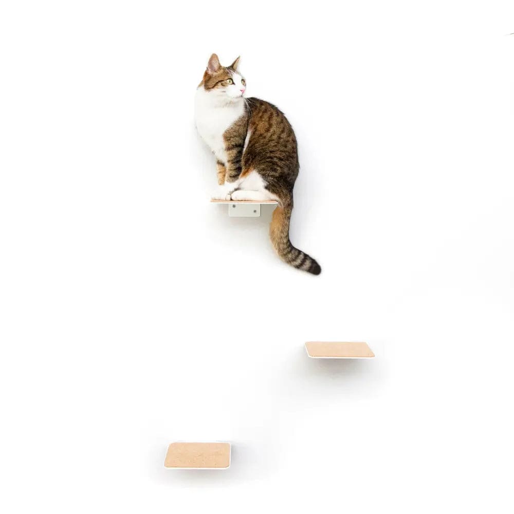 Escaliers Muraux pour Chats (Lot de 3)