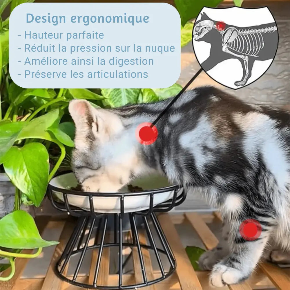 Gamelle Ergonomique pour Chat