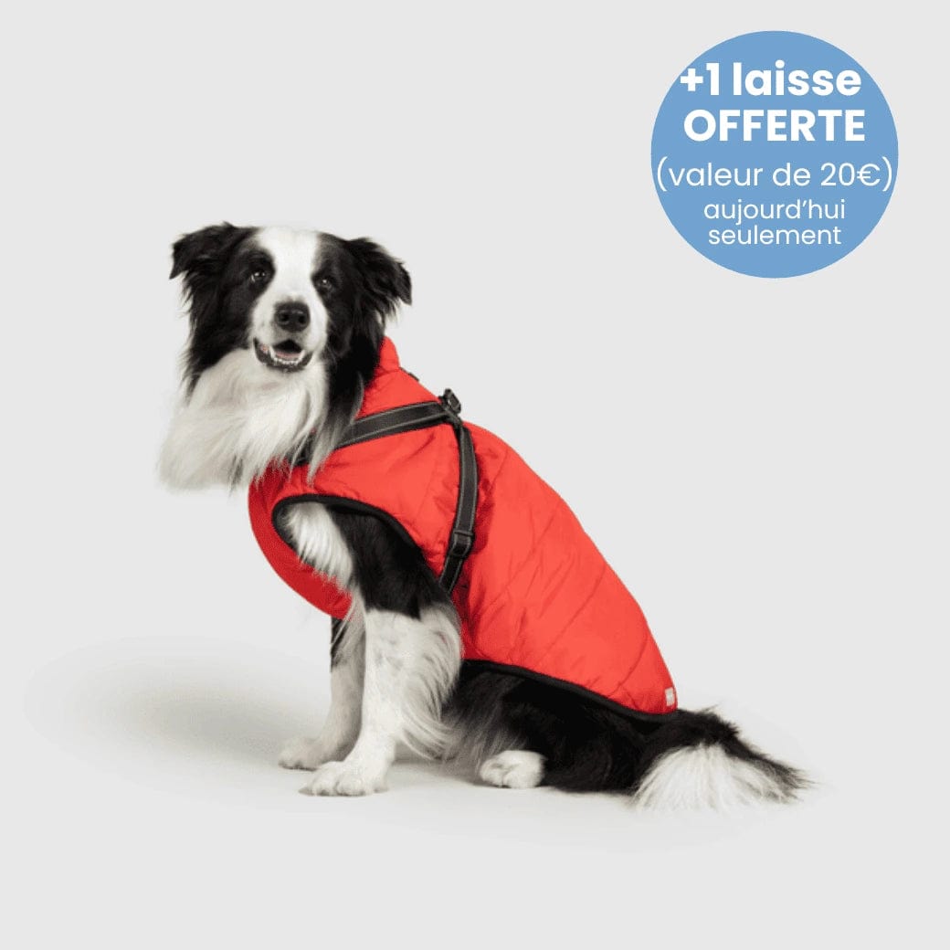 Manteau pour Chien Imperméable