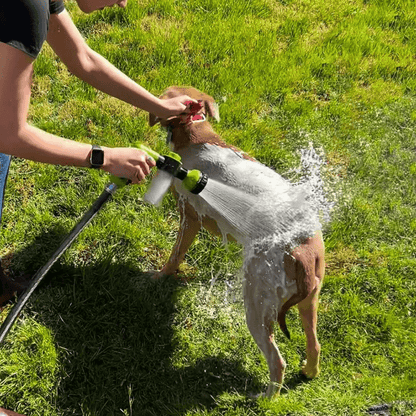 Jet d'eau nettoyant pour chien