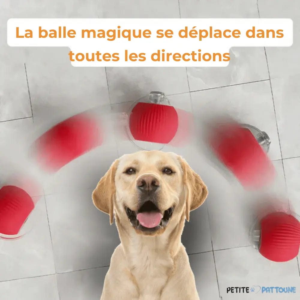 Balle Magique et Interactive pour Chien