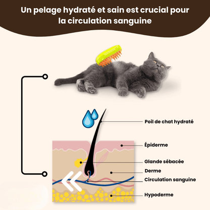 Brosse chat à vapeur