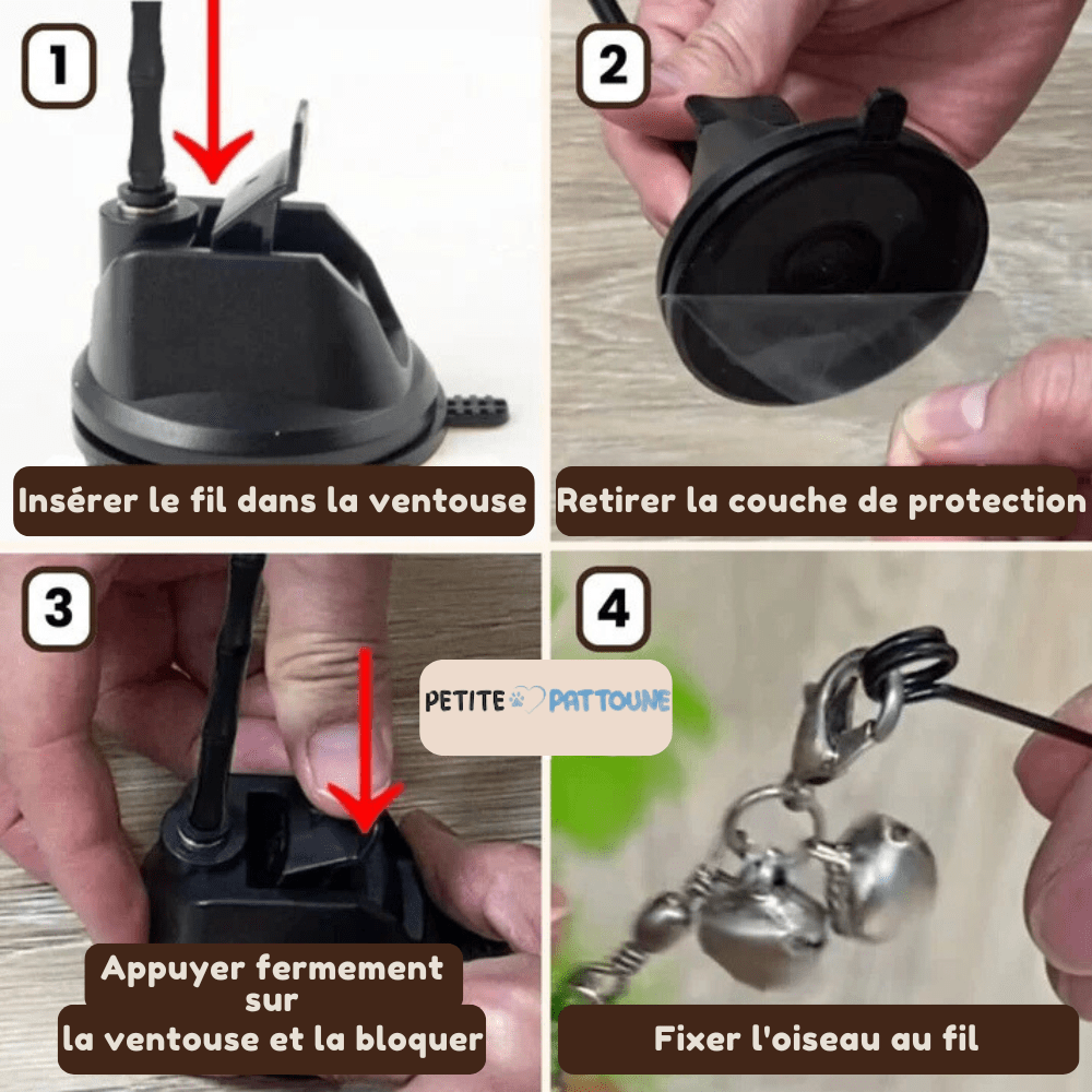 Kit d'Amusement Intéractif pour Félins