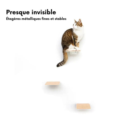 Escaliers Muraux pour Chats (Lot de 3)