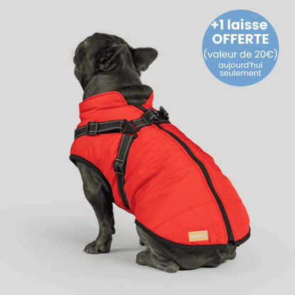 Manteau pour Chien Imperméable