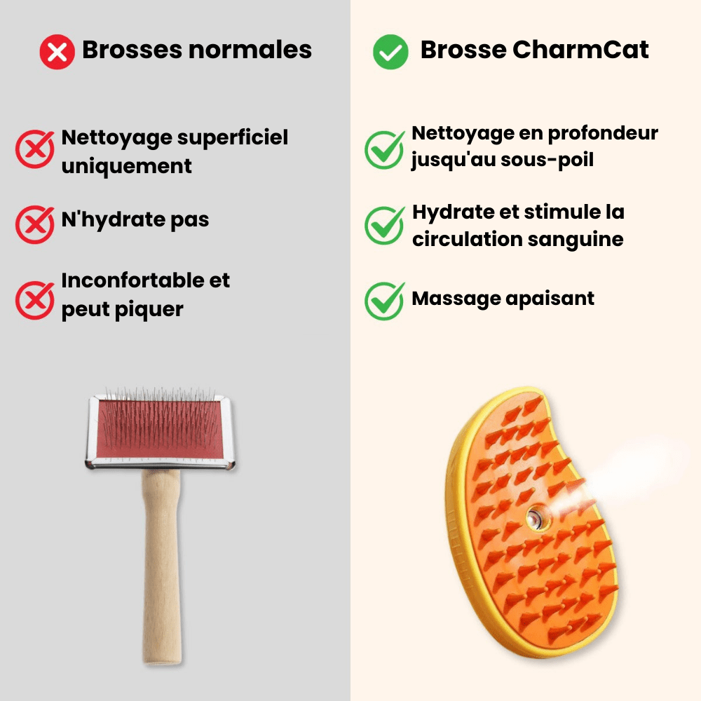 Brosse chat à vapeur