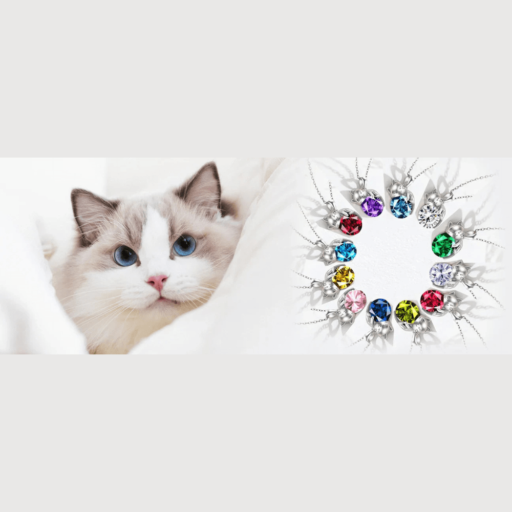 Collier Chat avec Pierre de Naissance Personnalisable