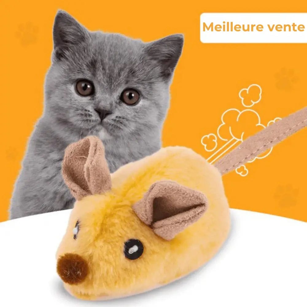 Souris Interactive Automatique pour Chats