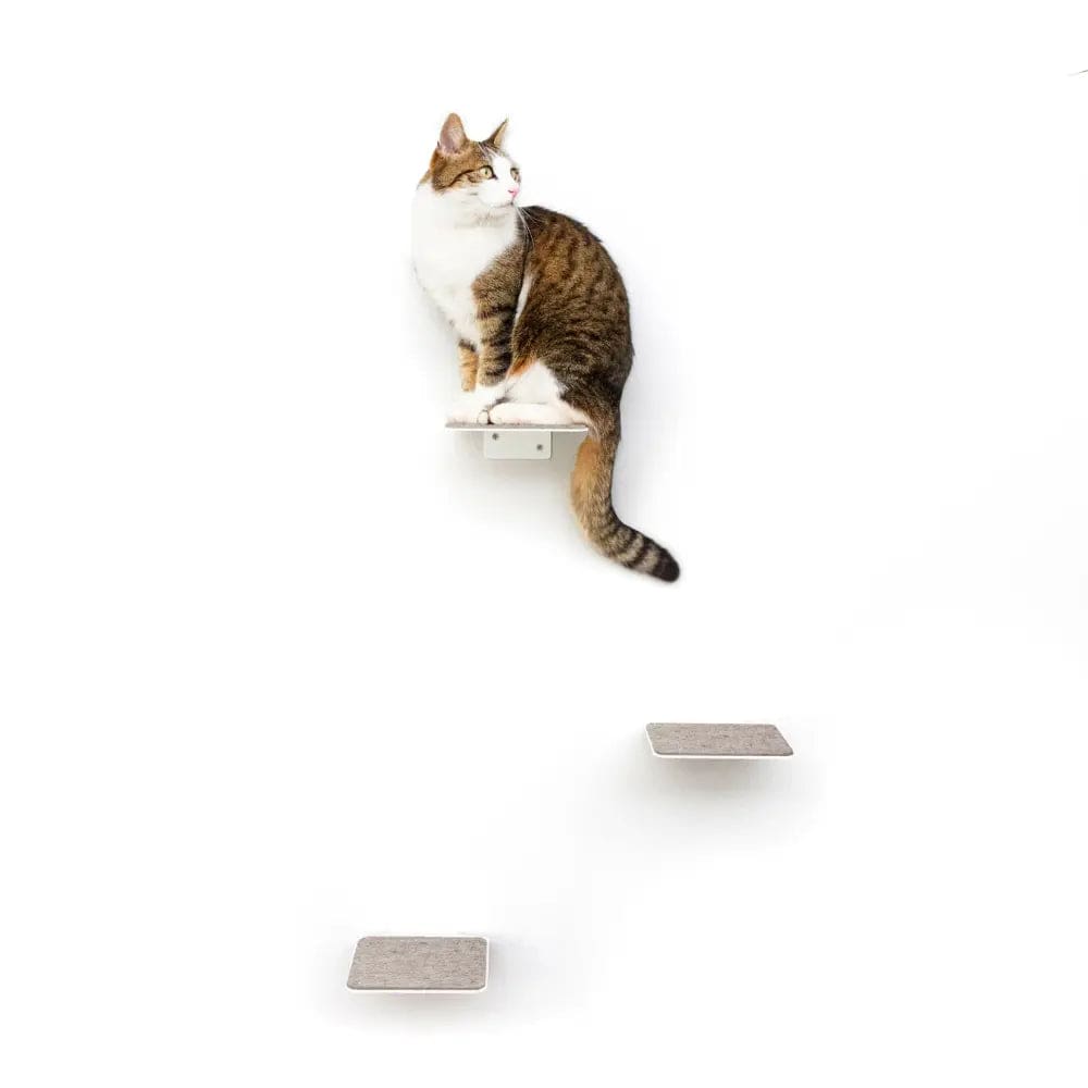 Escaliers Muraux pour Chats (Lot de 3)