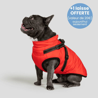 Manteau pour Chien Imperméable