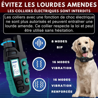 Collier d’Entraînement pour Chiens