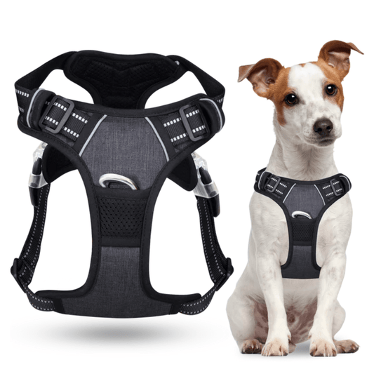 Harnais Anti-Traction pour Chien