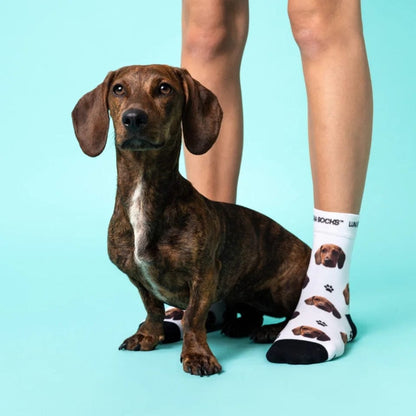 Chaussettes Personnalisées pour Animaux