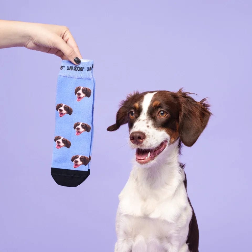 Chaussettes Personnalisées pour Animaux