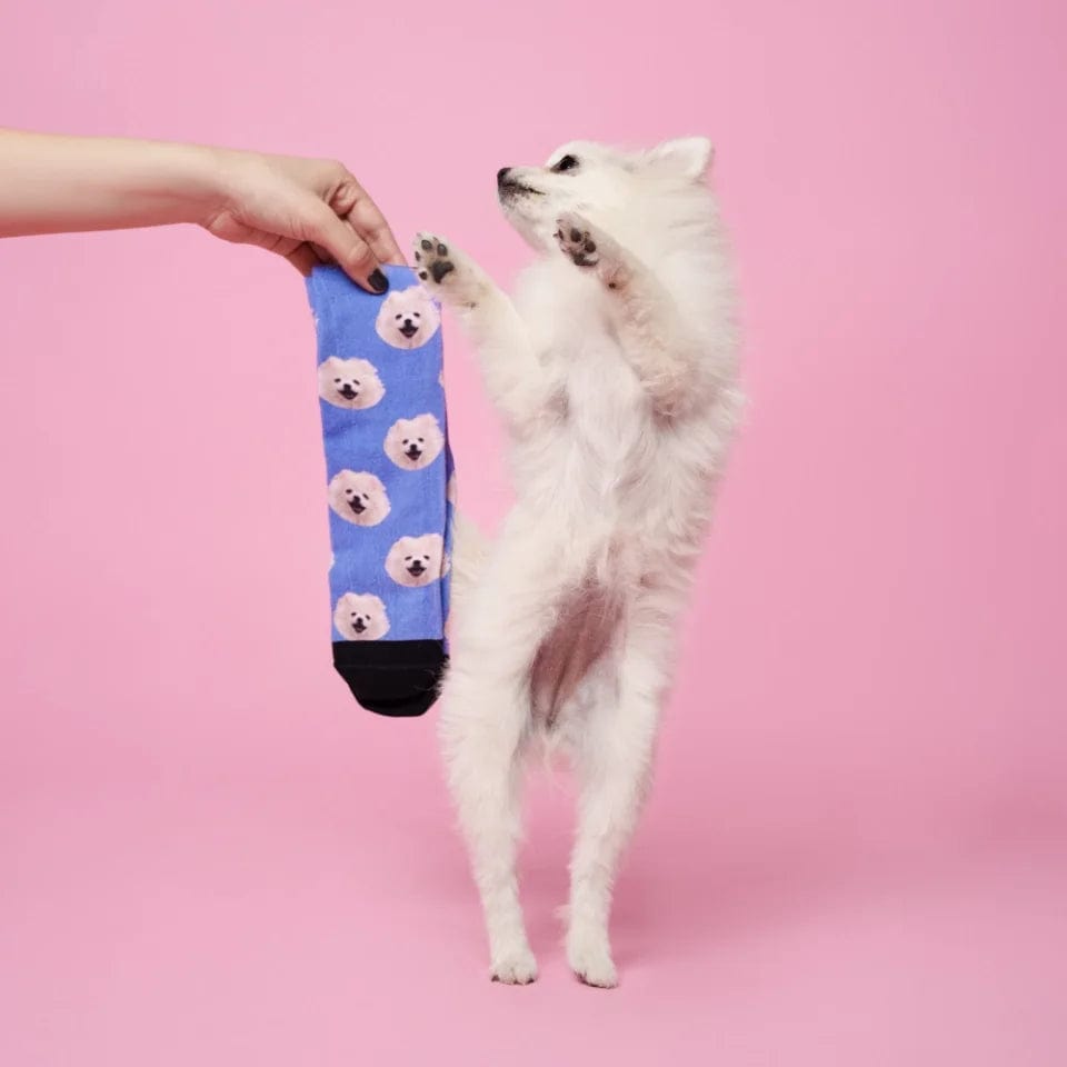 Chaussettes Personnalisées pour Animaux