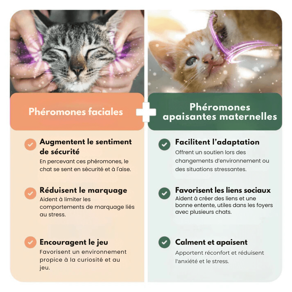 Diffuseur de Phéromones Anti-Stress pour Félins