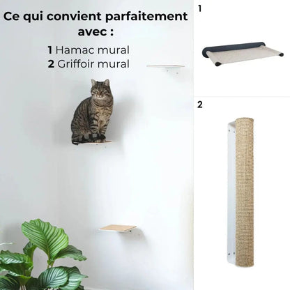 Escaliers Muraux pour Chats (Lot de 3)