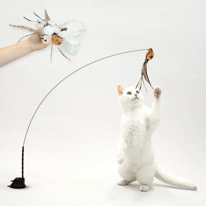 Ensemble Stimulateur de Chasse pour Chats