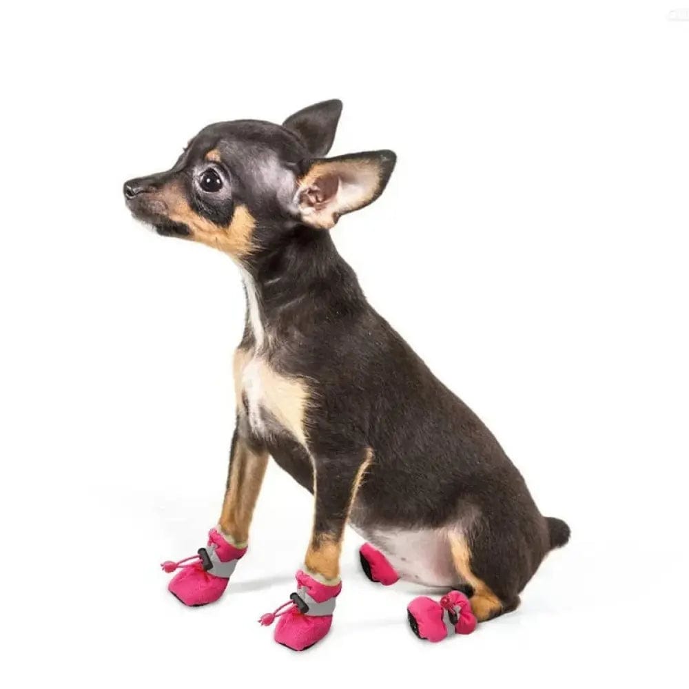 Chaussures Réfléchissantes pour Chiens (Pack de 4 chaussures)