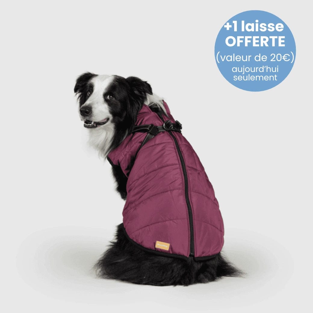 Manteau pour Chien Imperméable