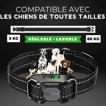 Collier d’Entraînement pour Chiens