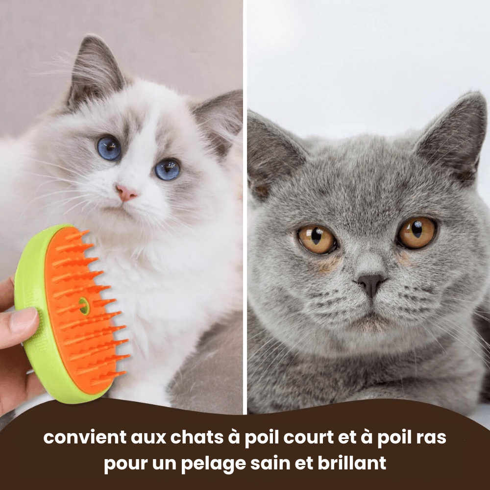 Brosse chat à vapeur