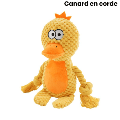 Peluche Indestructible pour Chien