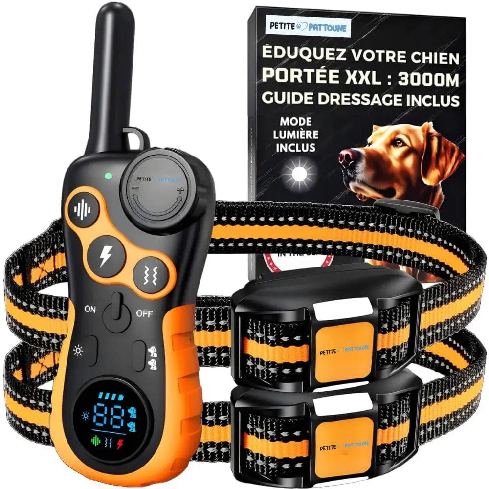 Collier de Dressage pour Chien