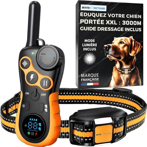 Collier de Dressage pour Chien