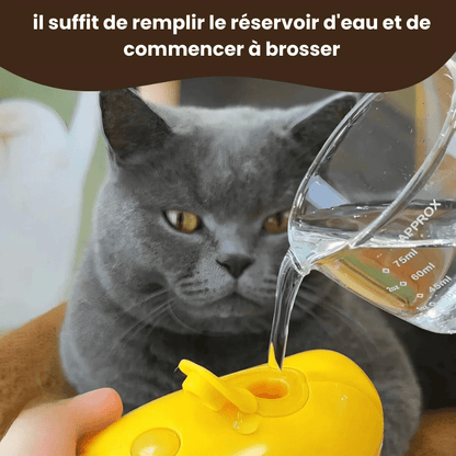 Brosse chat à vapeur