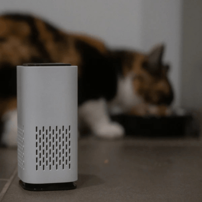 Purificateur d'Air Anti-Odeurs d'Animaux