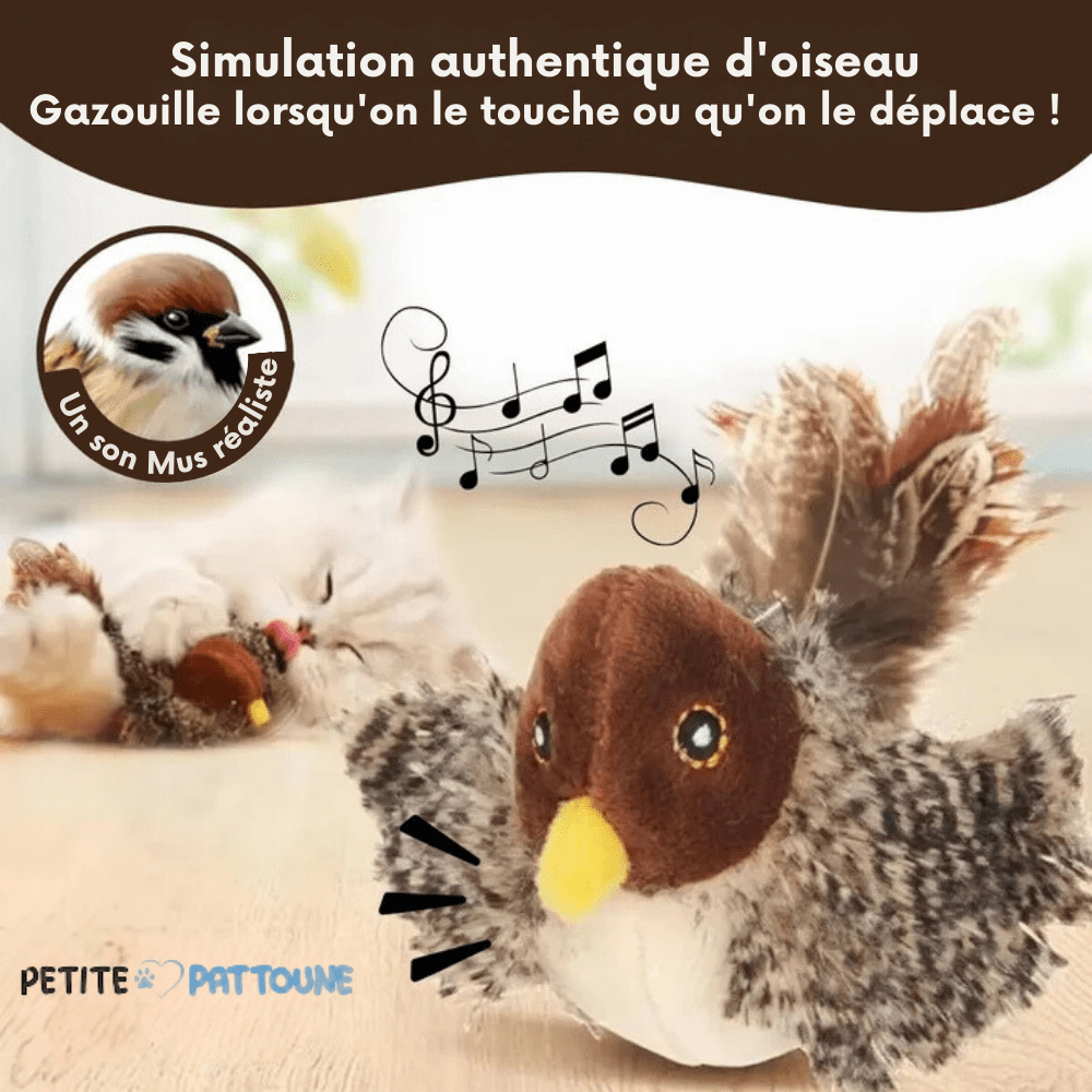 Jouet Oiseau Authentique