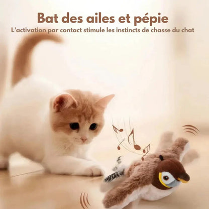 Oiseau Volant pour Chat