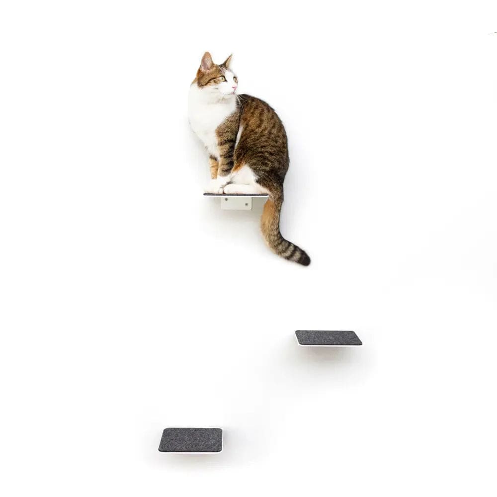 Escaliers Muraux pour Chats (Lot de 3)