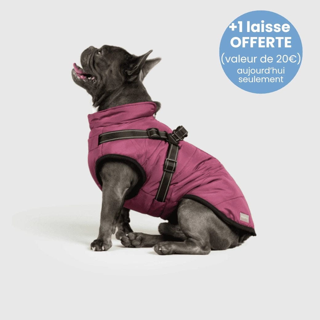 Manteau pour Chien Imperméable