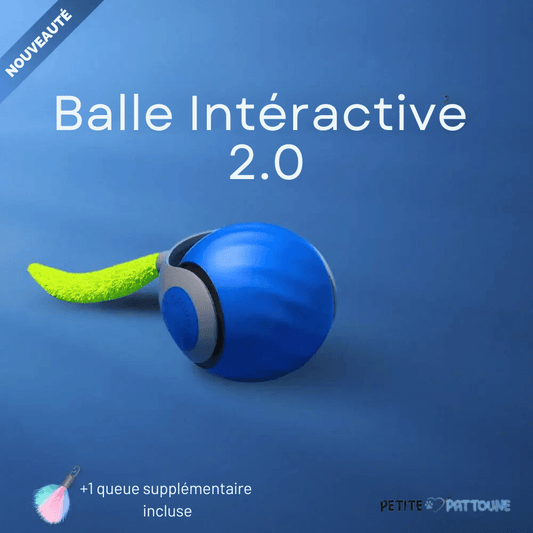 Balle Interactive 2.0 pour Félins