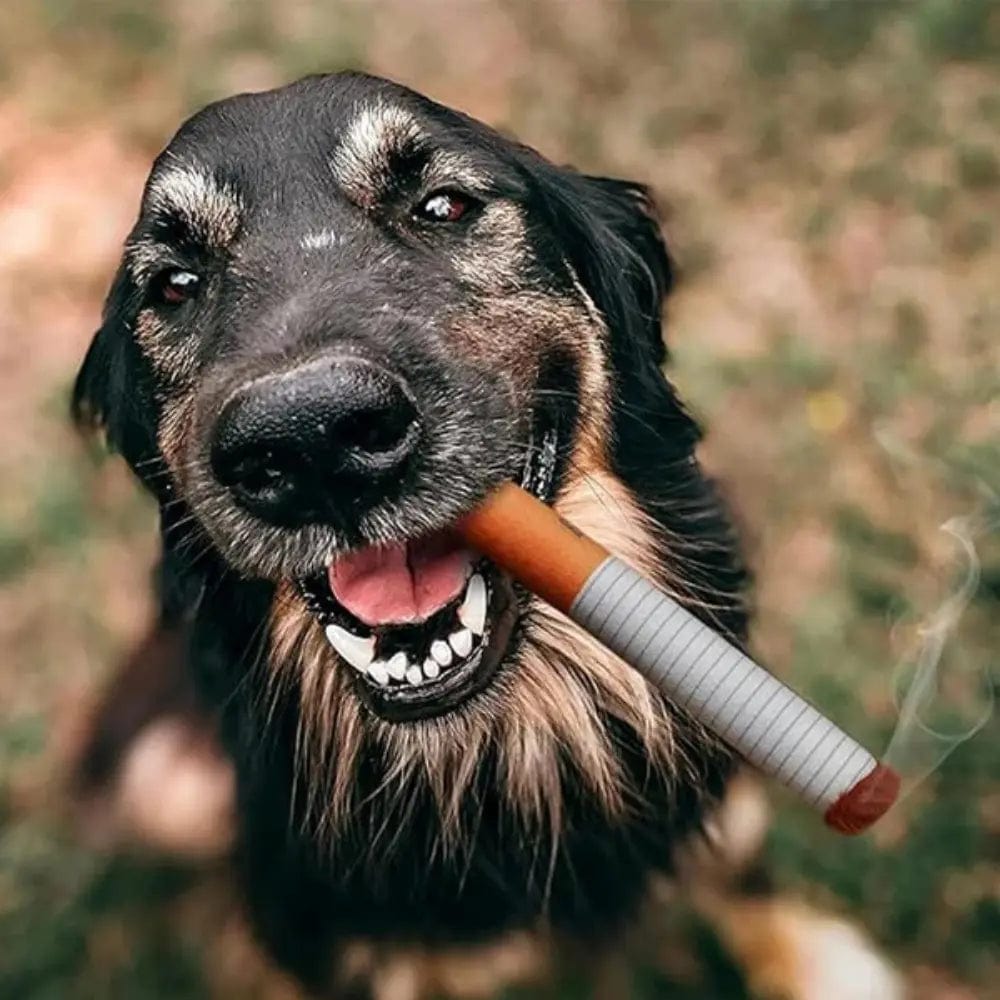 Jouet Interactif en Forme de Cigarettes pour Chiens