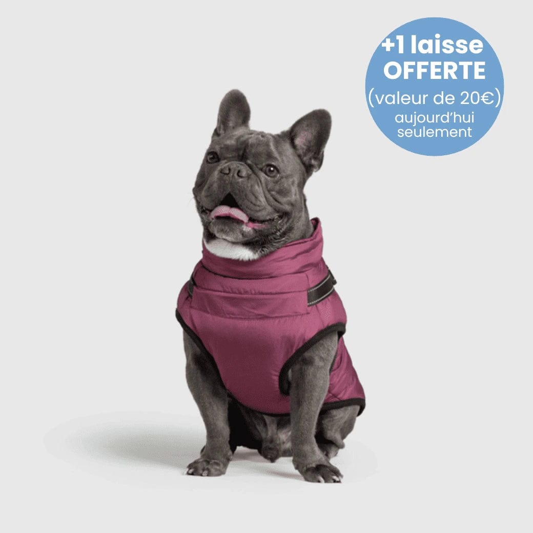 Manteau pour Chien Imperméable