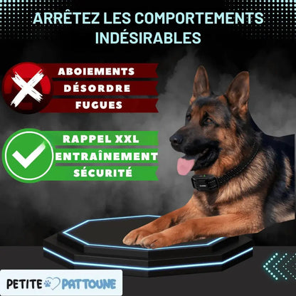 Collier d’Entraînement pour Chiens