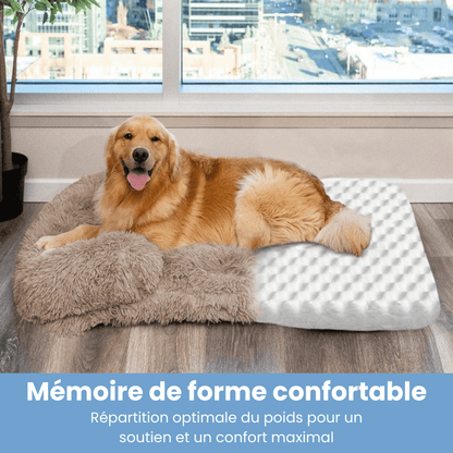 Coussin orthopédique - DoggyDream™