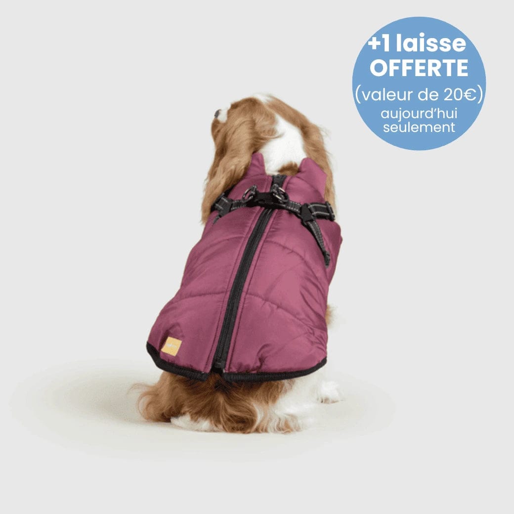 Manteau pour Chien Imperméable