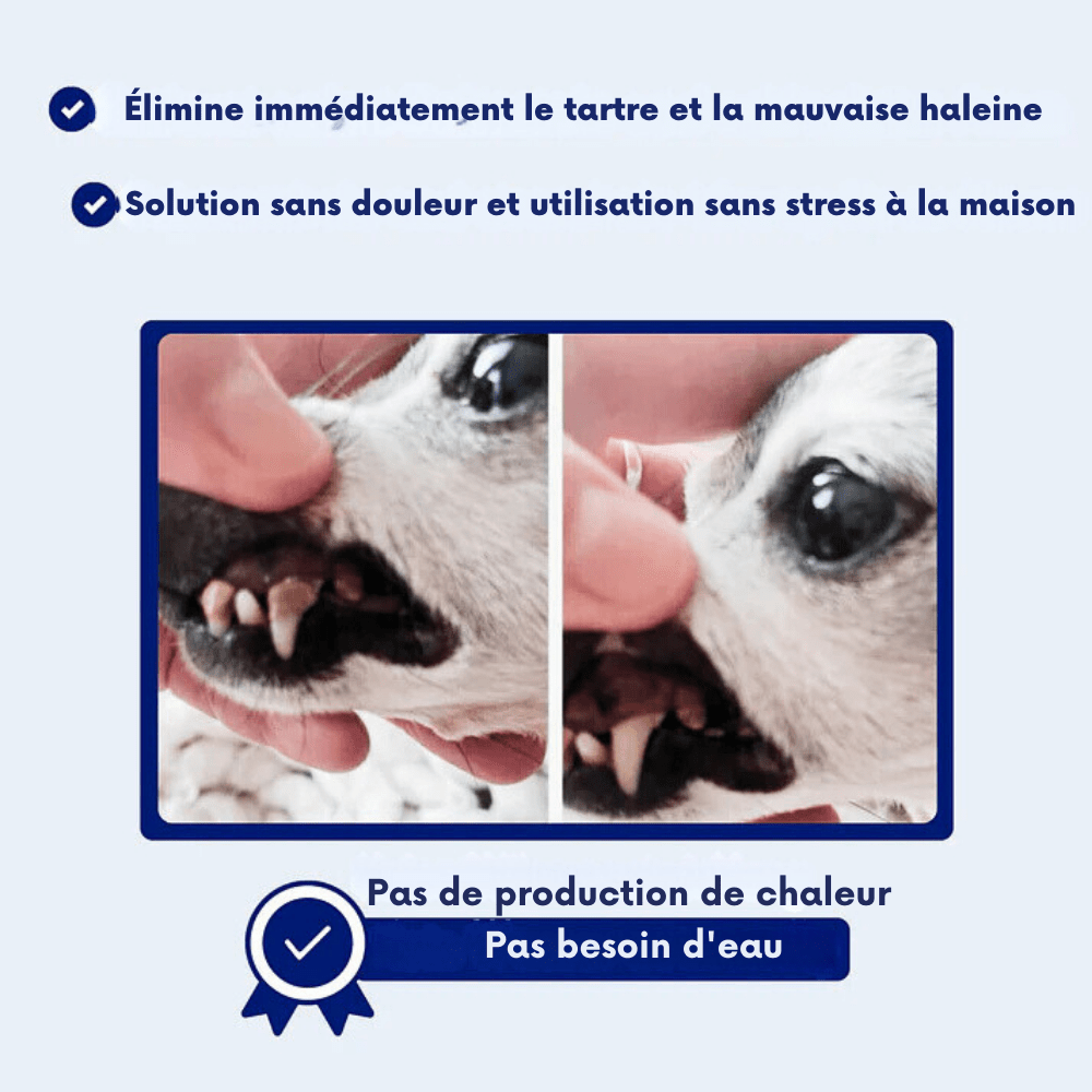 Kit de Détartrage pour Chiens