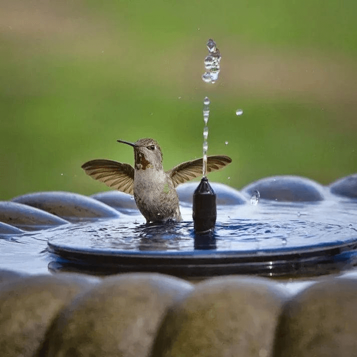 Fontaine de jardin