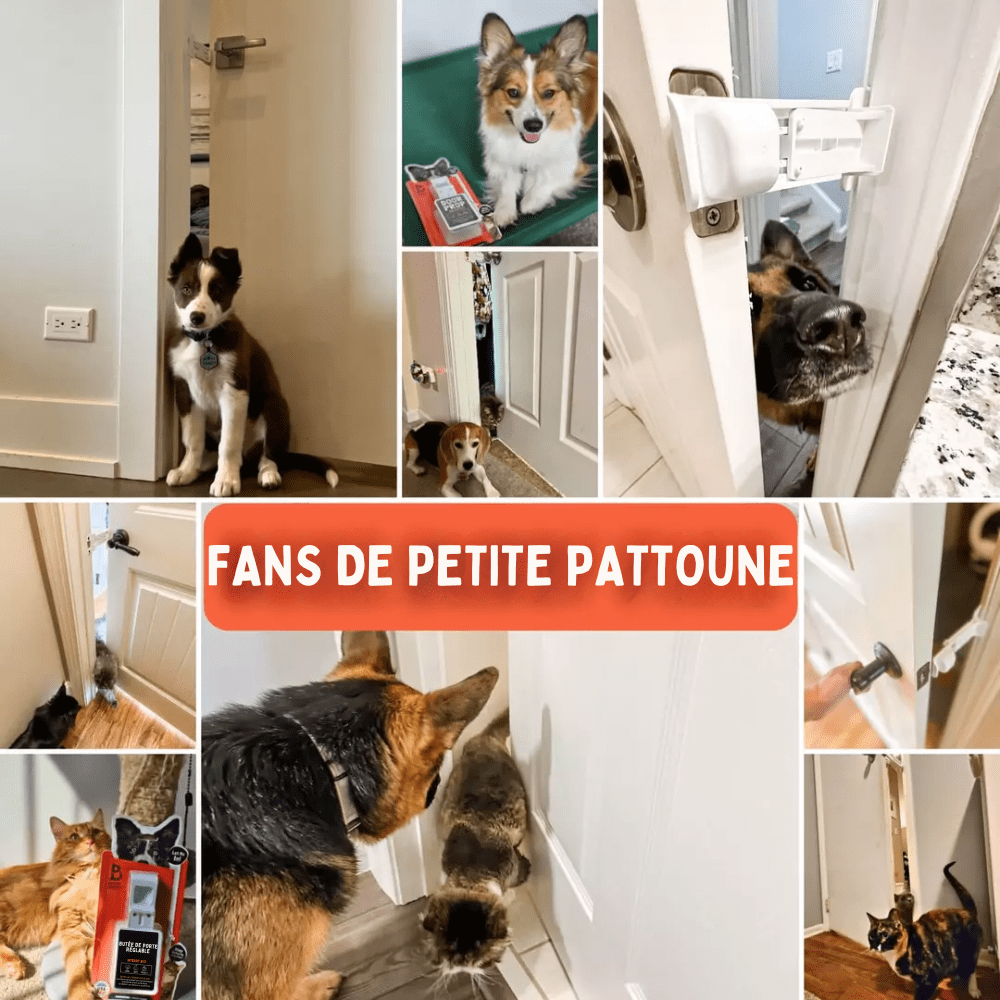 Butée de Porte Réglable pour Chat