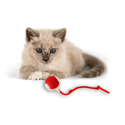 Boule Interactive pour Chats